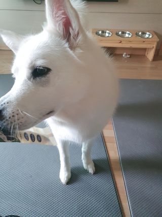 딸랑구둘🥰님이 올린 리뷰 사진 2