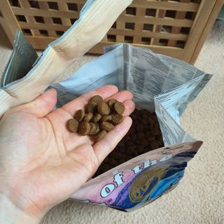 꽃단이님이 올린 리뷰 사진 2
