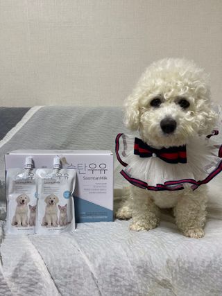 써니님이 올린 리뷰 사진 2