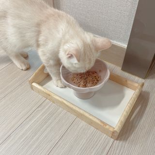 [벳크로스] 덴타스코 고양이 1종 (구강&덴탈) / 2g x 30 — 5점을 준 리뷰어가 2023년 1월 올린 사용 사진