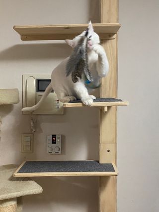 모너아리님이 올린 리뷰 사진 3