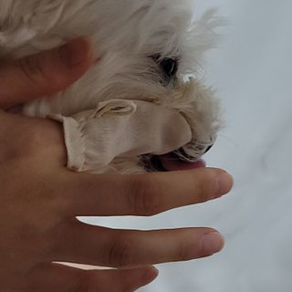 시우하늘맘님이 올린 리뷰 사진 4