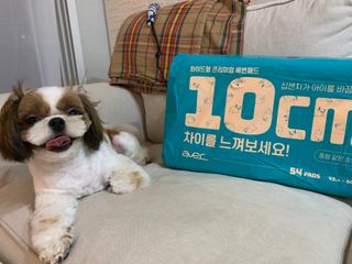 아베크 펫 와이드 프리미엄 중형 애견 강아지 배변 패드 54매 1팩 45g — 5점을 준 리뷰어가 2021년 7월 올린 사용 사진