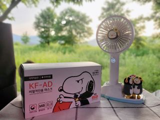 JHWORLD 스누피 마스크 정품 스누피 KF-AD 국내 비말차단 아동용 성인용 일회용 덴탈마스크 50매 — 4점을 준 리뷰어가 2021년 6월 올린 사용 사진