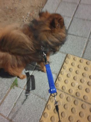 쑤닝님이 올린 리뷰 사진 3