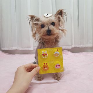 솜희님이 올린 리뷰 사진 4