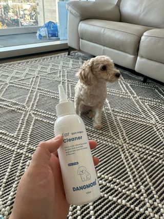 [댕모어 클리너 3종] 아이클리너 / 이어클리너 / 덴탈클리너 3종 세트 (120ml) — 5점을 준 리뷰어가 2023년 12월 올린 사용 사진