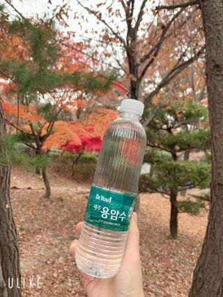 닥터유 제주용암수 닥터유 용암수 — 5점을 준 리뷰어가 2021년 11월 올린 사용 사진