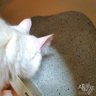 chk822님이 올린 리뷰 사진 4