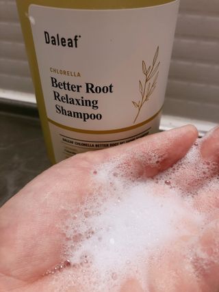 달리프 클로렐라 베러 루트 릴렉싱 샴푸 500ml — 5점을 준 리뷰어가 2021년 6월 올린 사용 사진