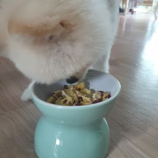 현이님이 올린 리뷰 사진 4