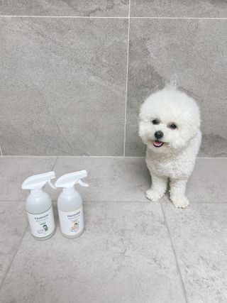JENNY님이 올린 리뷰 사진 1