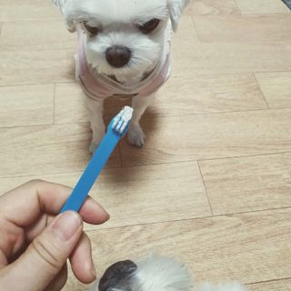 뿌꾸님이 올린 리뷰 사진 1