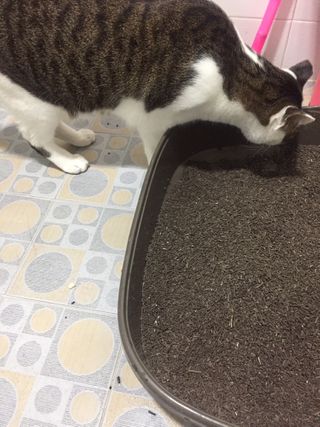 까꿍님이 올린 리뷰 사진 3