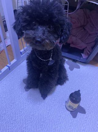 정토순님이 올린 리뷰 사진 3