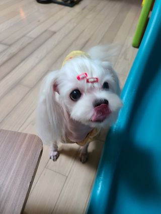 스카이보스님이 올린 리뷰 사진 4