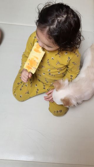 옙삐맘님이 올린 리뷰 사진 2