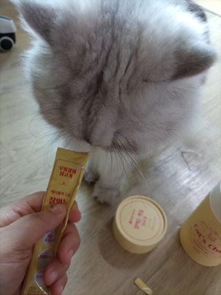페페로니 잘 먹는 캣츄 - 무항생제 닭고기 24개입 — 5점을 준 리뷰어가 2021년 7월 올린 사용 사진