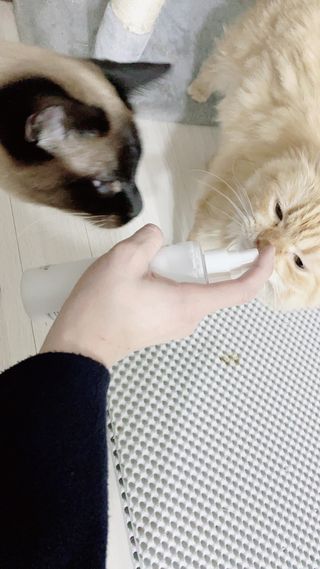 바초라떼님이 올린 리뷰 사진 3