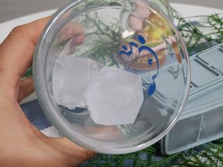 니디즈 포트아이스 2단 밀폐 실리콘 얼음틀 — 5점을 준 리뷰어가 2023년 1월 올린 사용 사진