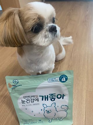 My Pet Care 천연단백질 눈건강에 개좋아 — 5점을 준 리뷰어가 2021년 3월 올린 사용 사진