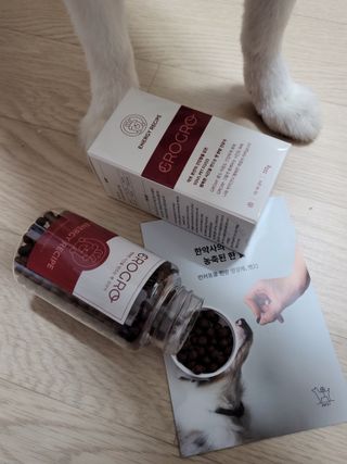 펫21 그로그로 5종 강아지 고양이 반려동물 한방 영양제 — 5점을 준 리뷰어가 2021년 11월 올린 사용 사진