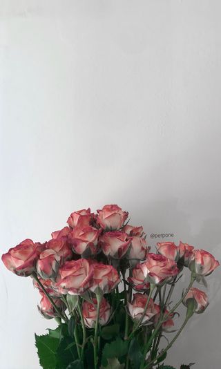 밍밍님이 올린 리뷰 사진 3