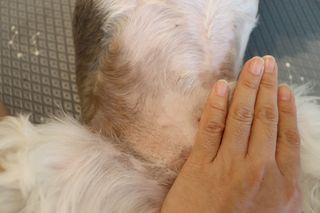 송이님이 올린 리뷰 사진 4