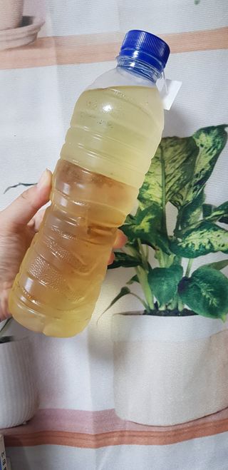 산그리메 국내산 호박차 100티백 대용량 삼각티백차 — 5점을 준 리뷰어가 2021년 6월 올린 사용 사진