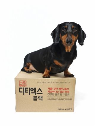 이도 발효한차 디티엑스 블랙 500ml 20병 — 5점을 준 리뷰어가 2021년 8월 올린 사용 사진