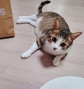 olvelynn님이 올린 리뷰 사진 4