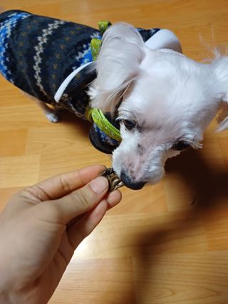 이챠님이 올린 리뷰 사진 3