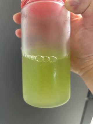 설탕칸쵸님이 올린 리뷰 사진 3