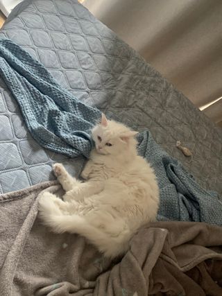 ㄹ진님이 올린 리뷰 사진 3