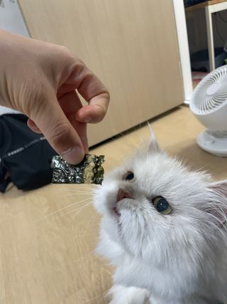 에리카님이 올린 리뷰 사진 3