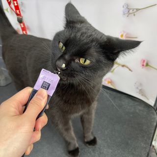 persona님이 올린 리뷰 사진 4