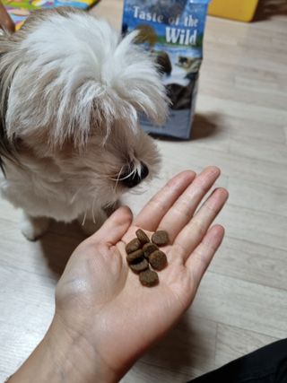 언제나피터팬님이 올린 리뷰 사진 1