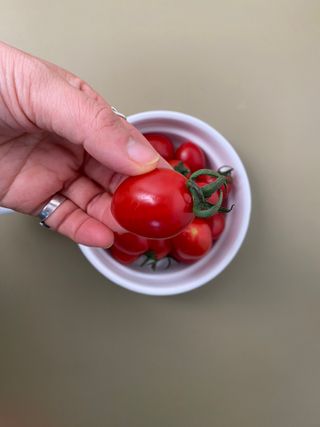 레드닥터 대추방울토마토 + 본생강 망고맛 스틱형 젤리 — 4.5점을 준 리뷰어가 2022년 12월 올린 사용 사진