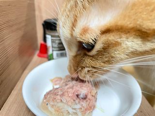시나님님이 올린 리뷰 사진 3