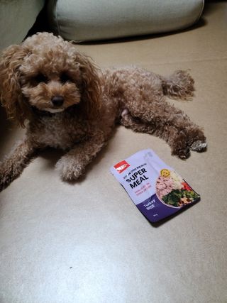 쩡이님이 올린 리뷰 사진 1