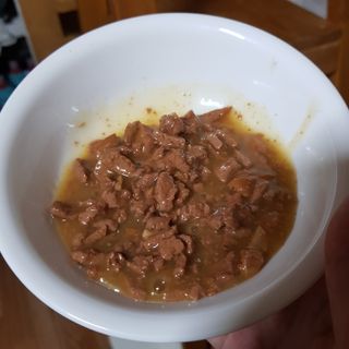비타크래프트 포에시 델리스 고양이 파우치 85g 9가지맛 1팩씩 — 5점을 준 리뷰어가 2021년 8월 올린 사용 사진