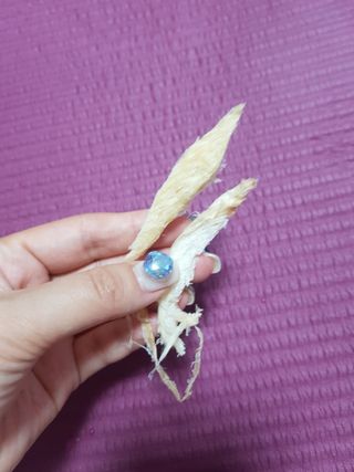 쪼꼬사랑이언니님이 올린 리뷰 사진 3