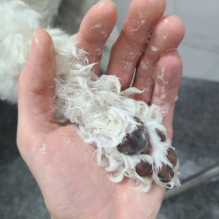 캐스퍼님이 올린 리뷰 사진 4