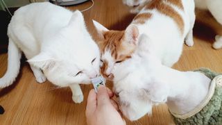 ㅎㅎ쩡님이 올린 리뷰 사진 3