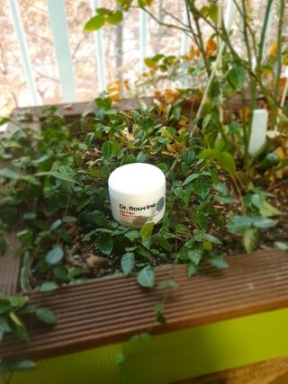 이쁜정똥이님이 올린 리뷰 사진 1