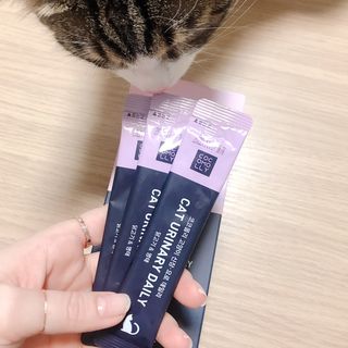 코코몰리 고양이 구강• 헤어볼 데일리 /신장• 요로 데일리 — 5점을 준 리뷰어가 2021년 1월 올린 사용 사진