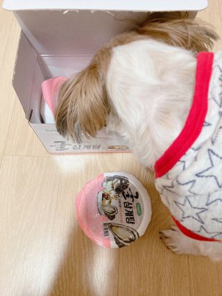 박하님이 올린 리뷰 사진 1