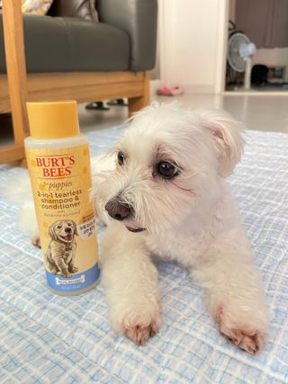 BLUME님이 올린 리뷰 사진 1