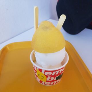 응디니님이 올린 리뷰 사진 3