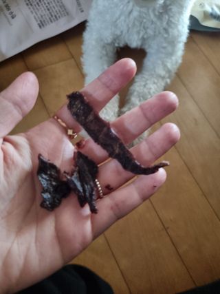 귀요미두공주맘님이 올린 리뷰 사진 3